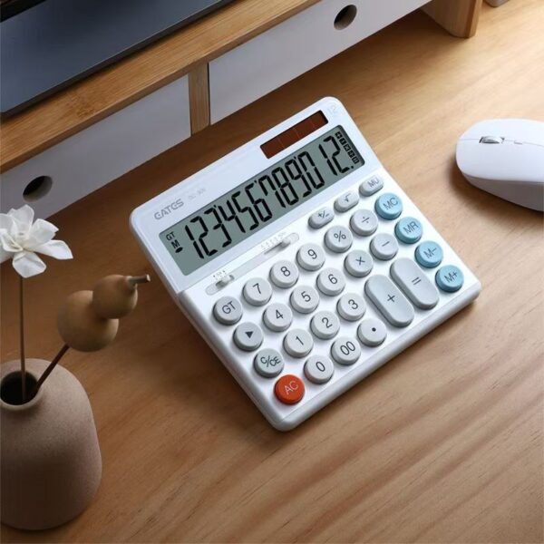 Accounting Business Calculator for Financial Professionals